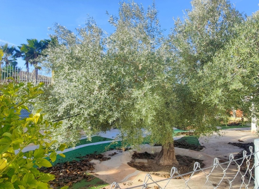 Reventa - Villa - Aspe