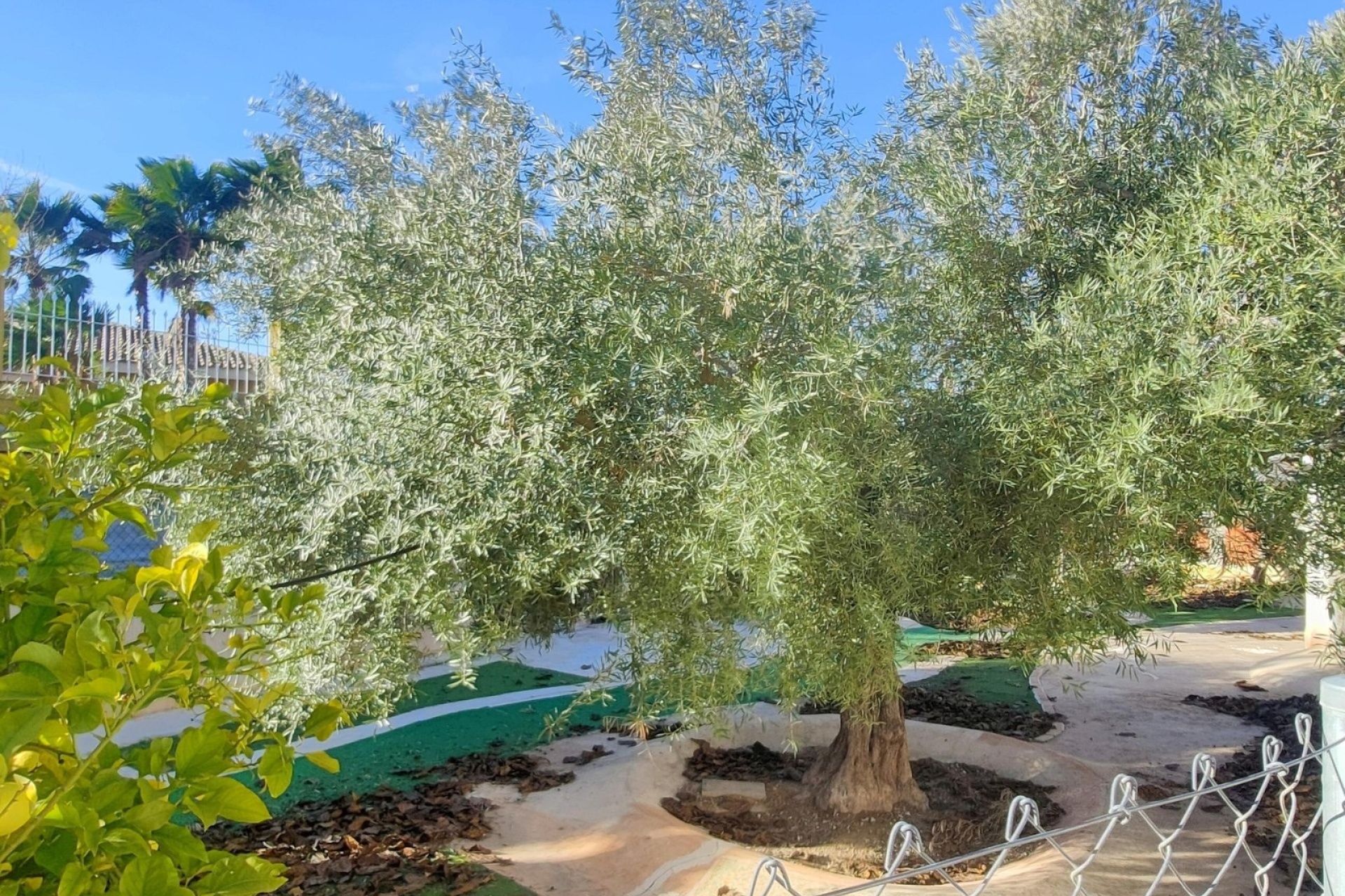 Reventa - Villa - Aspe