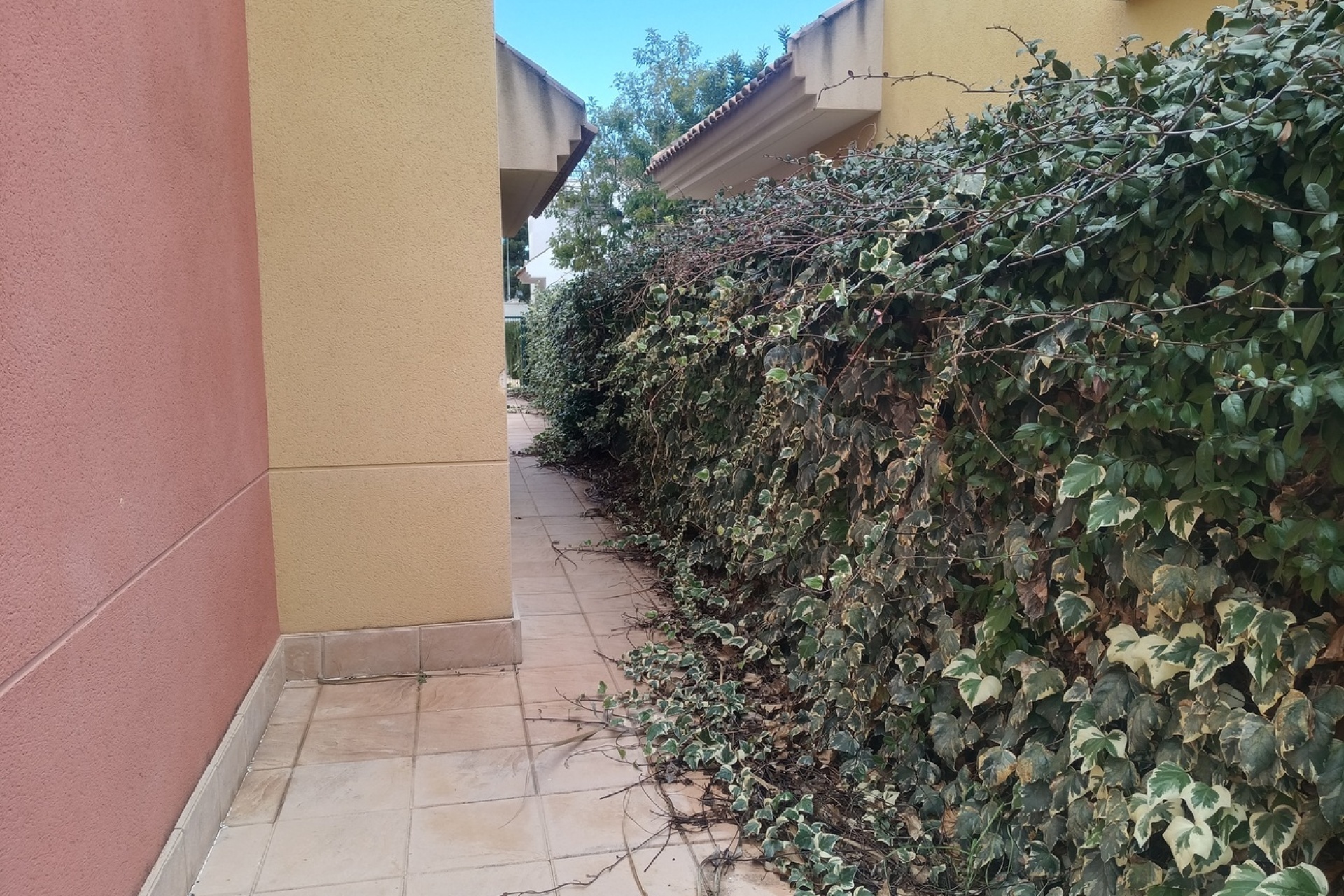 Reventa - Villa - La Tercia