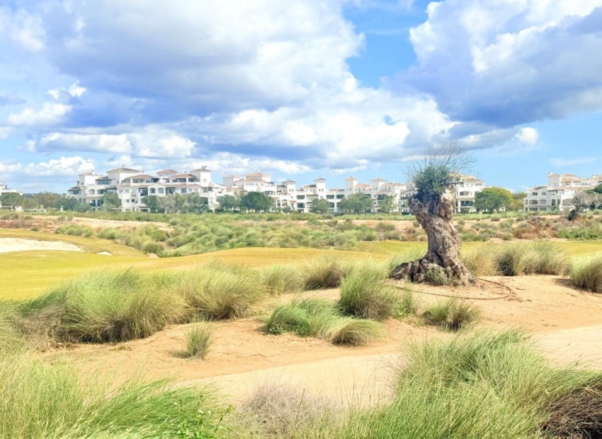 Revente - Appartement - Sucina - Hacienda Riquelme Golf Resort