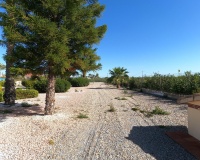 Revente - Villa - Albatera