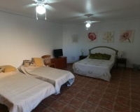 Revente - Villa - Algorfa