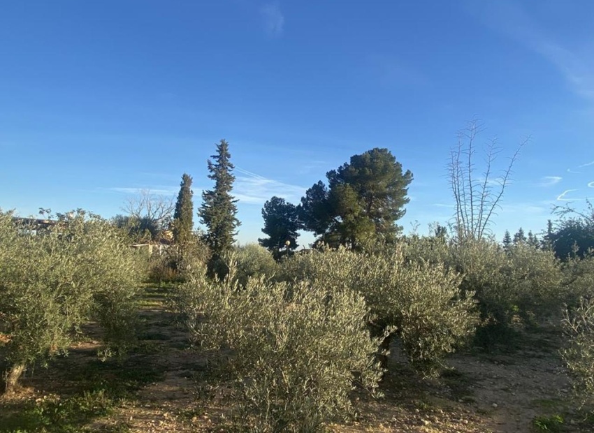 Revente - Villa - Gea Y Truyols