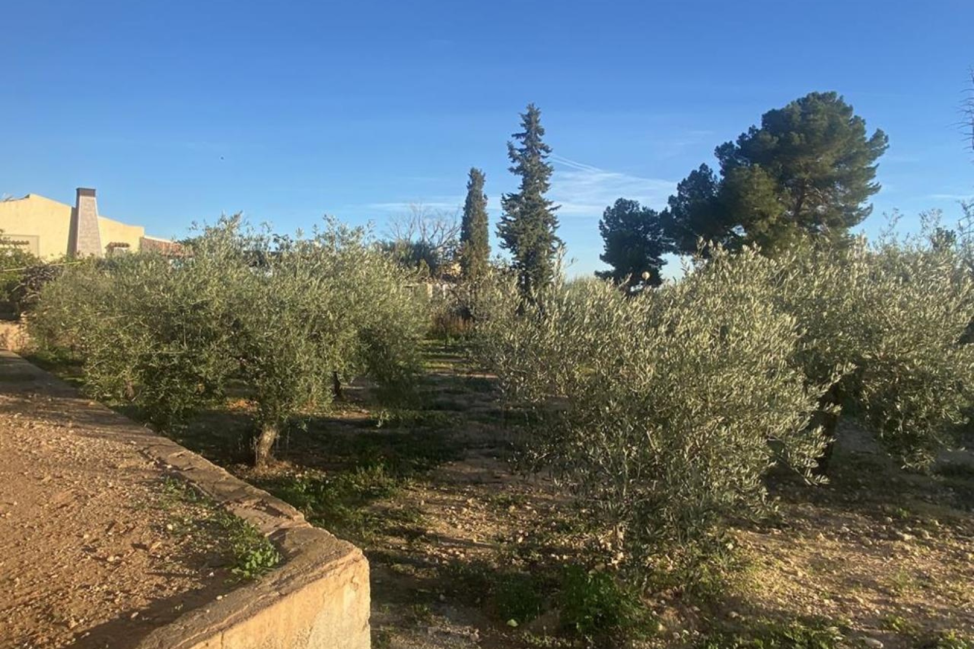 Revente - Villa - Gea Y Truyols