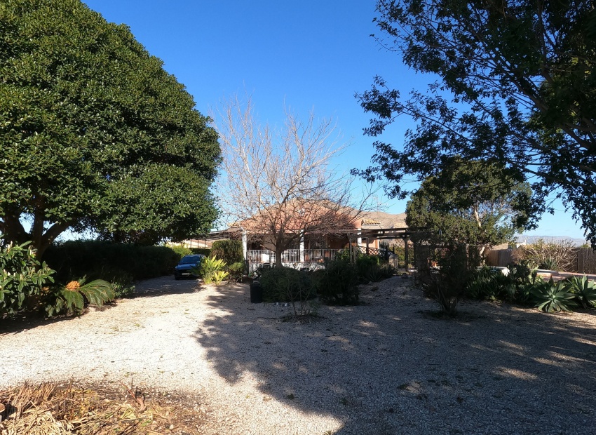 Revente - Villa - Orihuela