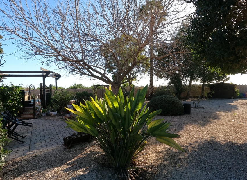 Revente - Villa - Orihuela