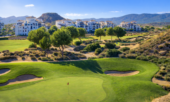 EL VALLE GOLF RESORT 