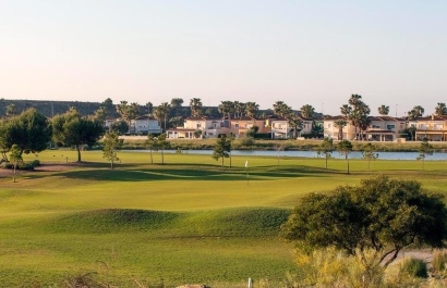 New Build - Townhouse - Altaona Golf and Country Village