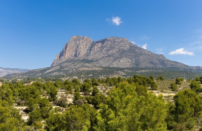 Nouvelle construction - Villa - Finestrat