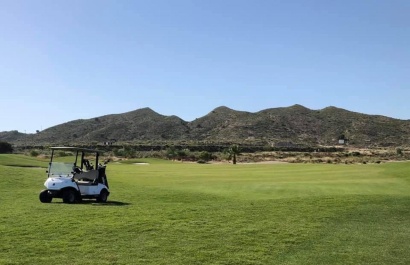 New Build - Townhouse - Altaona Golf and Country Village