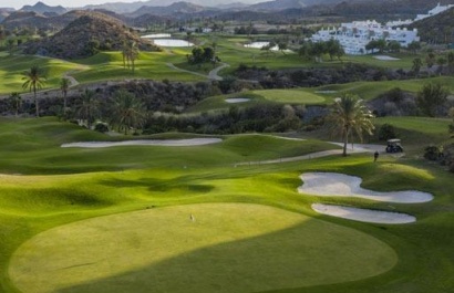 Obra nueva - Apartamento - Pulpi