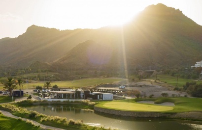 Obra nueva - Apartamento - Pulpi