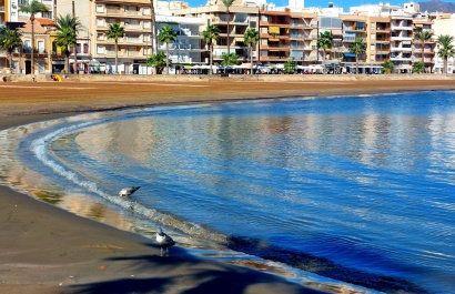 Nouvelle construction - Villa - Fuente Álamo