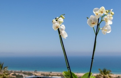 Nouvelle construction - Appartement - Santa Pola