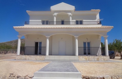 Obra nueva - Villa - Pinoso