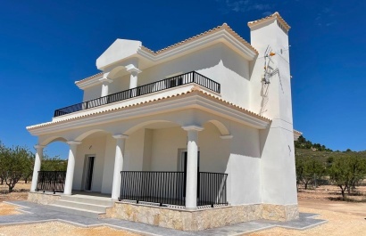 Obra nueva - Villa - Pinoso