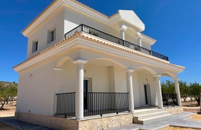 Obra nueva - Villa - Pinoso