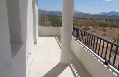 Obra nueva - Villa - Pinoso