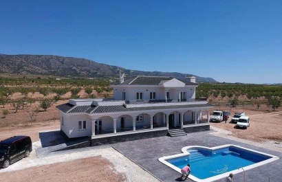Obra nueva - Villa - Pinoso