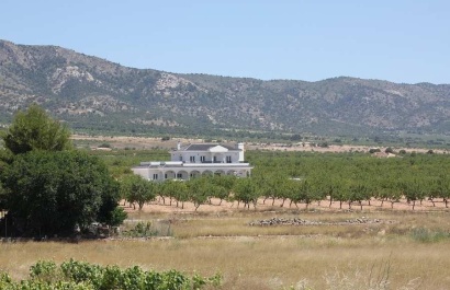 Obra nueva - Villa - Pinoso