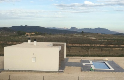 Obra nueva - Villa - Pinoso