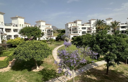 Resale - Apartment - Sucina - Hacienda Riquelme Golf Resort