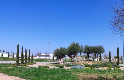 Nieuwbouw Woningen - Apartment - Torre Pacheco