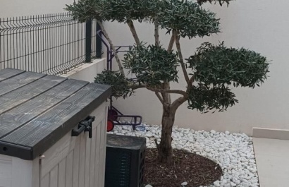 Resale - Villa - Algorfa - La Finca Golf