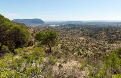 New Build - Villa - Aspe