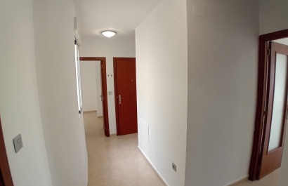 Reventa - Apartamento - Benijofar