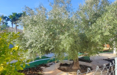 Reventa - Villa - Aspe