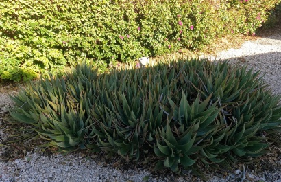 Revente - Villa - Orihuela