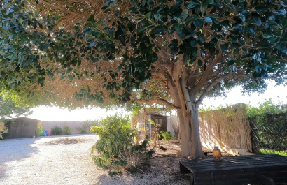 Revente - Villa - Orihuela