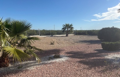 Revente - Villa - Albatera