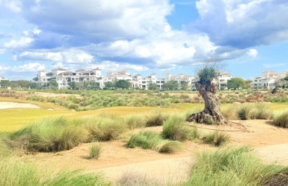 Resale - Apartment - Sucina - Hacienda Riquelme Golf Resort