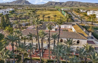 Resale - Apartment - Sucina - Hacienda Riquelme Golf Resort