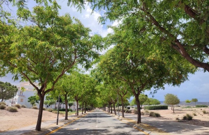 Resale - Apartment - Sucina - Hacienda Riquelme Golf Resort