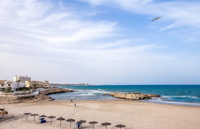 Obra nueva - Villa - Orihuela Costa